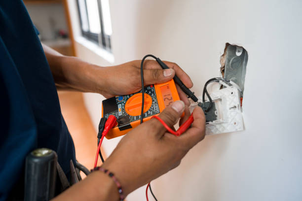 Best Electric Panel Repair  in Blackville, SC