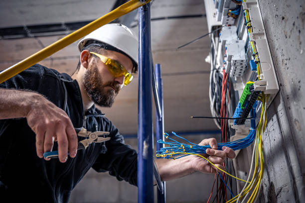 Best Electrician Near Me  in Blackville, SC